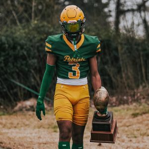 AirTek Arm Sleeves Dark Green (1 Pair)