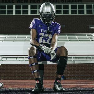 Arm Bands Purple (1 Pair)