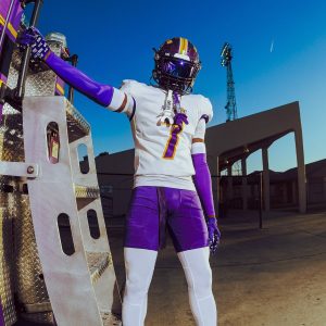 Double Arm Sleeves Purple (1 Pair)